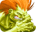 Illustration of Blanka