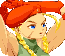 Illustration of Cammy